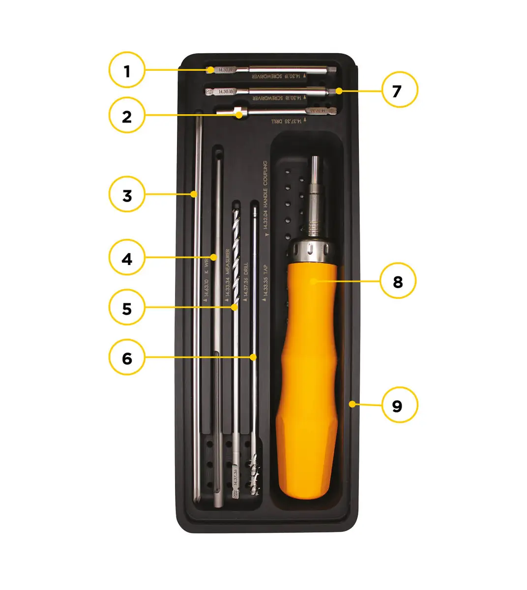 Vis Eagle vue de profil en titane - Ortho Cape