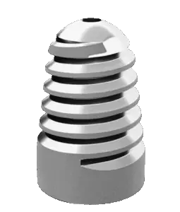 Vis Jack'S implantée entre le talus et le calcanéum - Ortho Cape