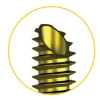 Icône produit vis MI Screw - Ortho Cape